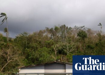 Jamaica PM says hurricane Melissa prompted injury equal to just about one-third of GDP | Hurricane Melissa Jamaica PM says hurricane Melissa prompted injury equal to just about one-third of GDP | Hurricane Melissa
