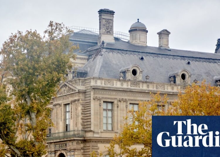 Louvre heist suspect is social media star and former museum guard, stories say | Paris Louvre heist suspect is social media star and former museum guard, stories say | Paris