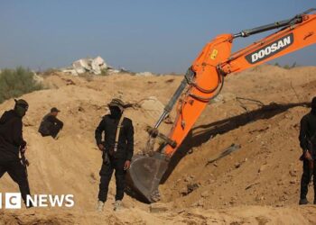 Israel receives coffin that Hamas says accommodates Gaza hostage’s physique