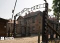 Public sale of Nazi loss of life camp artefacts cancelled, Poland’s DPM says Public sale of Nazi loss of life camp artefacts cancelled, Poland’s DPM says