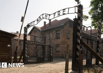Public sale of Nazi loss of life camp artefacts cancelled, Poland’s DPM says Public sale of Nazi loss of life camp artefacts cancelled, Poland’s DPM says