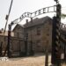 Public sale of Nazi loss of life camp artefacts cancelled, Poland’s DPM says