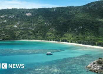 Cruise cancelled following dying of girl left behind on island Cruise cancelled following dying of girl left behind on island