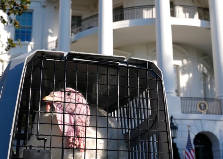 The way to prepare dinner a Thanksgiving turkey: Don’t. The way to prepare dinner a Thanksgiving turkey: Don’t.