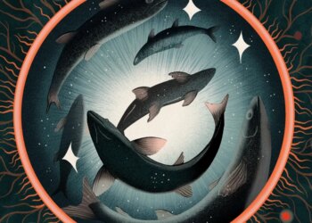 Can fish really feel ache? Which may be the flawed query. Can fish really feel ache? Which may be the flawed query.