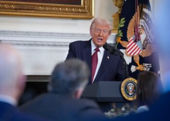 What Gen Alpha desires from the following president