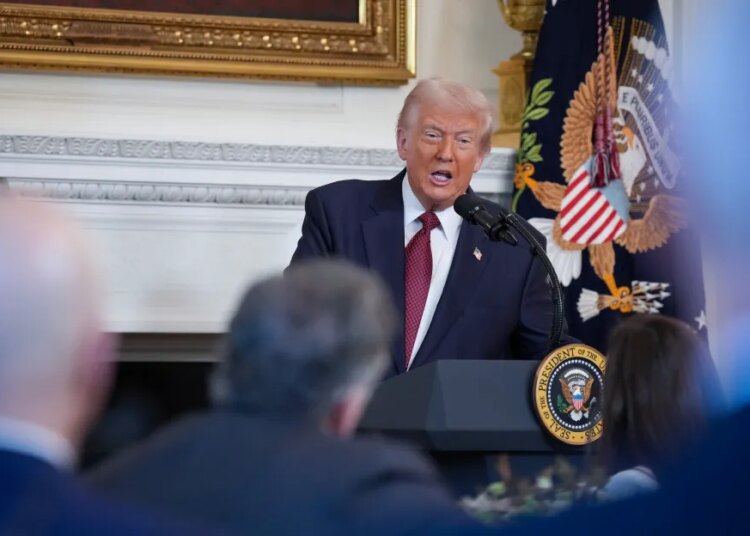 What Gen Alpha desires from the following president