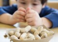 New knowledge: Early peanut feeding is chopping youngsters’ meals allergy symptoms