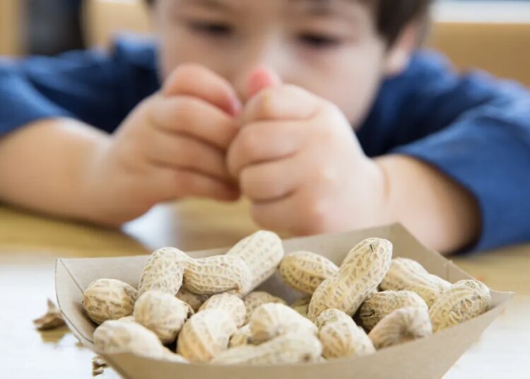 New knowledge: Early peanut feeding is chopping youngsters’ meals allergy symptoms New knowledge: Early peanut feeding is chopping youngsters’ meals allergy symptoms