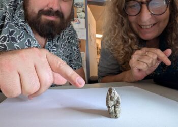 12,000-12 months-Previous Artifact Depicts a Goose Having Intercourse With a Girl