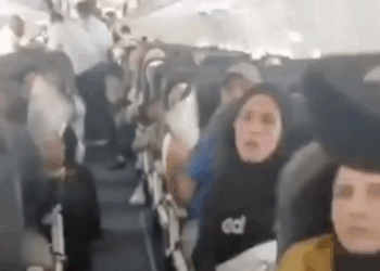 Palestinians fleeing Gaza detained on aircraft at South Africa airport for hours Palestinians fleeing Gaza detained on aircraft at South Africa airport for hours