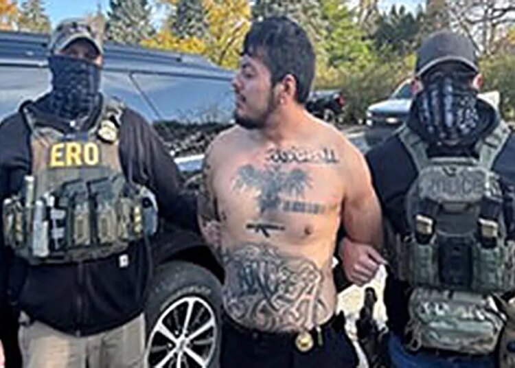 ICE arrests Mexican nationwide in nation illegally with violent prison previous