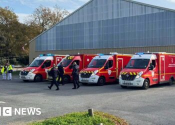 A number of critically harm on Ile d’Oléron in France after driver rams into 10 individuals