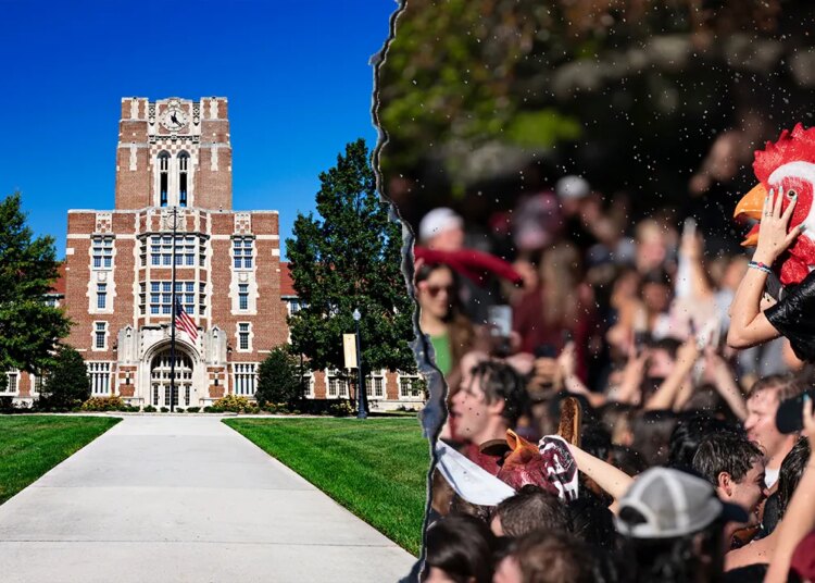 Northeast college students flock to Southern faculties in file numbers: report