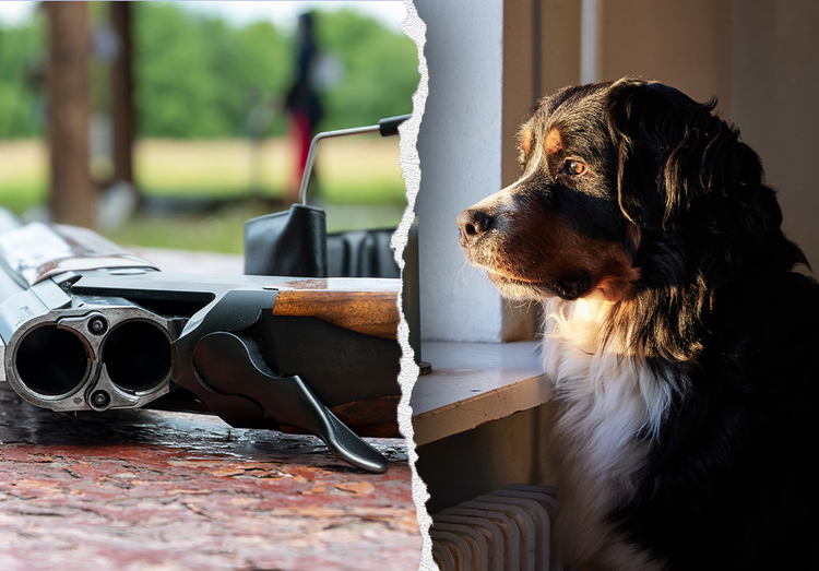 Canine shoots proprietor after leaping on mattress throughout gun cleansing accident in Pennsylvania residence Canine shoots proprietor after leaping on mattress throughout gun cleansing accident in Pennsylvania residence