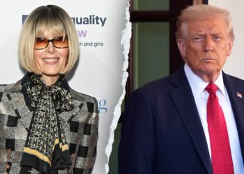 Trump asks Supreme Court docket to overturn M E Jean Carroll verdict