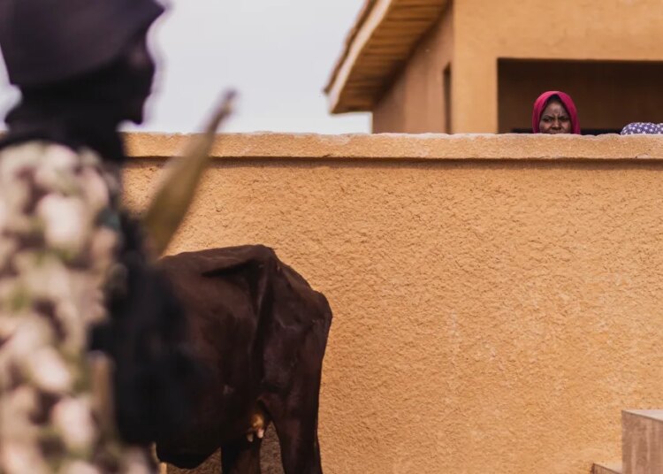 Trump simply threatened to invade a brand new nation