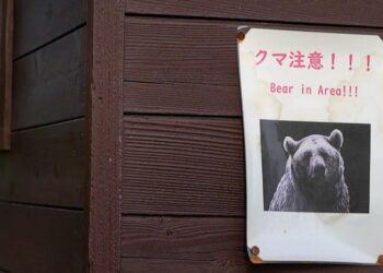 U.S. points uncommon warning to Individuals in Japan: Watch out for bear assaults U.S. points uncommon warning to Individuals in Japan: Watch out for bear assaults