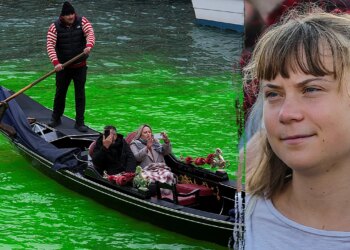 Greta Thunberg banned from Venice after inexperienced dye Grand Canal protest