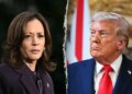 Harris calls for Trump launch Epstein recordsdata earlier than he indicators laws