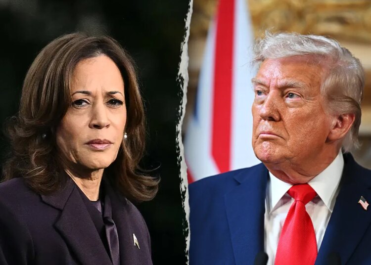 Harris calls for Trump launch Epstein recordsdata earlier than he indicators laws