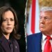 Harris calls for Trump launch Epstein recordsdata earlier than he indicators laws