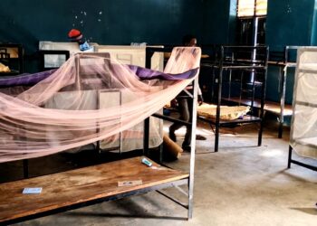 Youngsters as younger as 5 amongst a whole lot kidnapped from Nigeria Catholic college