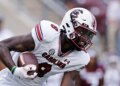 South Carolina receiver confronted by officer after scoring 80-yard landing South Carolina receiver confronted by officer after scoring 80-yard landing