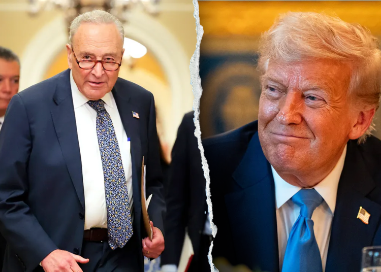 President Trump says Schumer ‘made a mistake’ as some Dems activate him