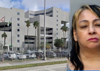 South Miami lady allegedly assaults boyfriend with machete, faces costs