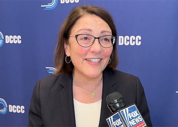 Democrats goal Home majority in 2026 midterms with affordability focus