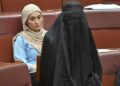 ‘Ladies have alternative’: Anne Aly says Pauline Hanson’s burqa stunt ‘unacceptable’