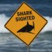 Shark kills 1 and critically wounds one other in Australia