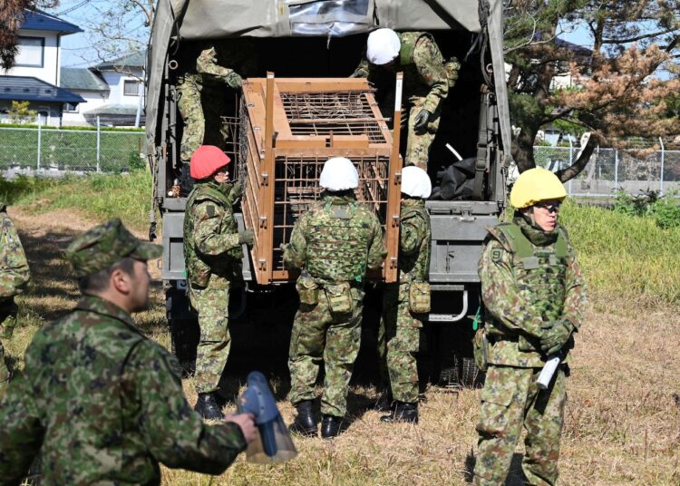 Japan sends troops to northern area to cease bear assaults after document casualties Japan sends troops to northern area to cease bear assaults after document casualties
