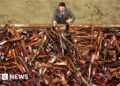 Australia was seen as a world chief in gun management