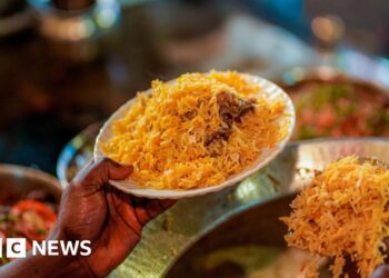 Kebabs, biryani and far more in Indian metropolis on Unesco culinary checklist