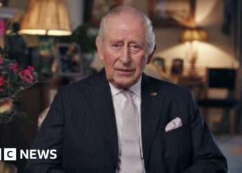King Charles shares ‘excellent news’ that his most cancers therapy might be decreased King Charles shares ‘excellent news’ that his most cancers therapy might be decreased