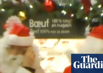 Santas and elves rob Montreal grocery retailer to ‘give meals to the needy’ | Canada