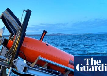 The thriller of flight MH370: will a brand new search discover the lacking airliner after greater than a decade? | Malaysia Airways flight MH370