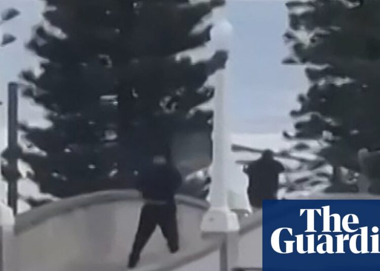 Bondi seashore terror assault: father and son duo alleged to be behind capturing utilizing licensed firearms | Bondi seashore terror assault Bondi seashore terror assault: father and son duo alleged to be behind capturing utilizing licensed firearms | Bondi seashore terror assault