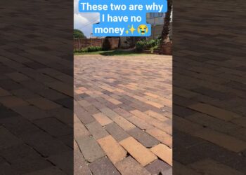 The Motive I’ve No Cash Pleasant Doges Version! #canine #doge #humorous #cute #meme #broke