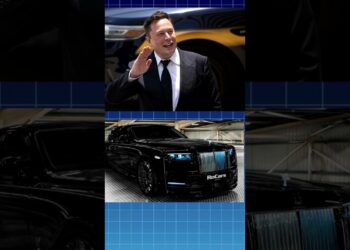 The web price of Elon Musk #info #facthilic #factholic #factaholic