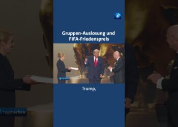 Es struggle der Höhepunkt, bevor das erste WM-Los gezogen wurde: Trump erhielt den FIFA-Friedenspreis.