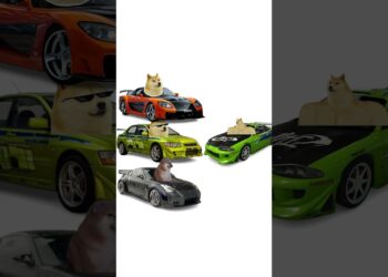 Bodykits defined by doge #automobiles #doge #jdm #mechanic #canine #fyp