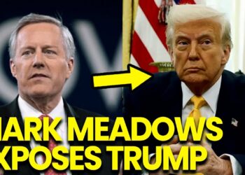 Mark Meadows ABANDONS Trump! Reveals HORRIFIC Secrets and techniques in COURT