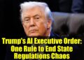 Trump's AI Government Order: One Rule to Finish State Laws Chaos Trump's AI Government Order: One Rule to Finish State Laws Chaos