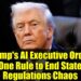 Trump's AI Government Order: One Rule to Finish State Laws Chaos