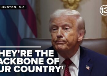 Trump publicizes billions in assist for American farmers scuffling with inflation