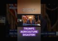 Donald Trump’s Agriculture Catastrophe! #politics  #information #trumpnews  #shortsfeed