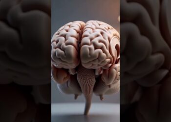 Elon Musk and Nikhil Kamath podcast? #details